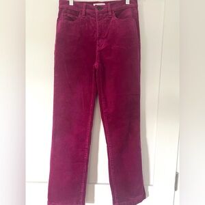 LOFT Fuchsia Corduroy Pants